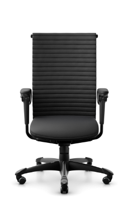 Snapshot of HÅG Excellence 9321