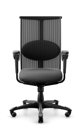 Snapshot of HÅG Inspiration 9221