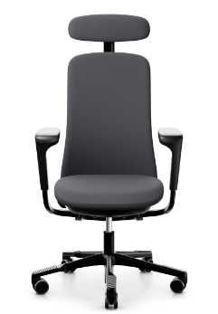 HÅG SoFi