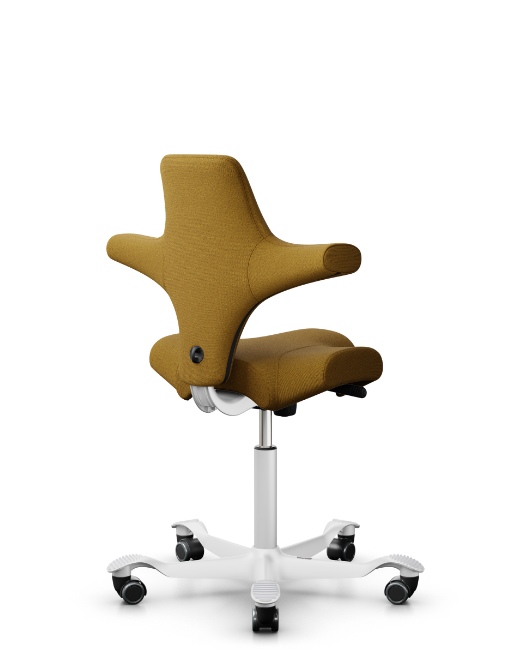 HÅG Capisco - Flokk Configure your chair